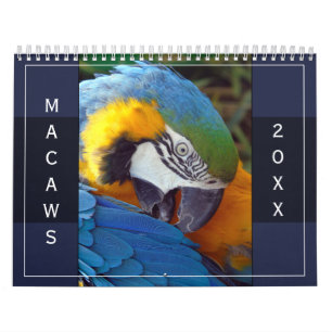 Macaw Parrot Blue Gold Scarlet Hyacinth 2026 Bird Kalender