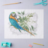Macaw Parrot Blue Sinaasappel Eucalyptus Waterverf Tissuepapier (Craft)