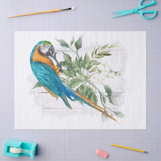 Macaw Parrot Blue Sinaasappel Eucalyptus Waterverf Tissuepapier (Craft)