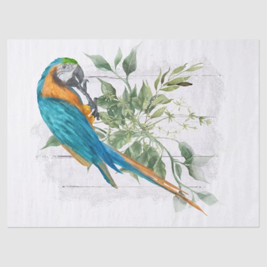 Macaw Parrot Blue Sinaasappel Eucalyptus Waterverf Tissuepapier (Voorkant)