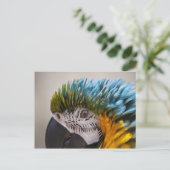 Macaw Parrot - Briefkaart (Staand voorkant)