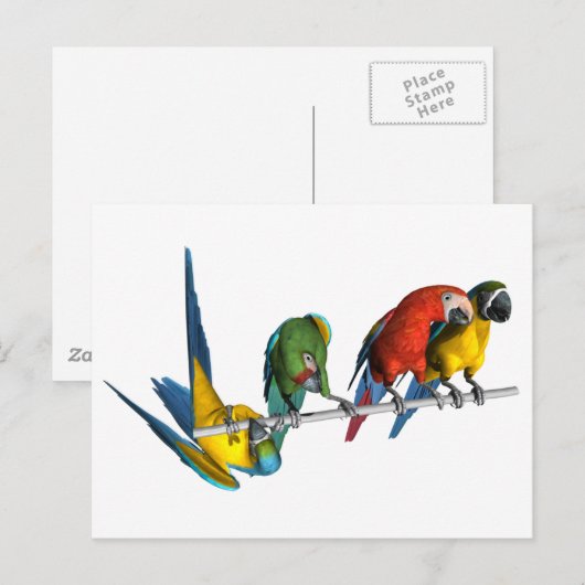 Macaw Parrot Briefkaart (Voorkant / Achterkant)