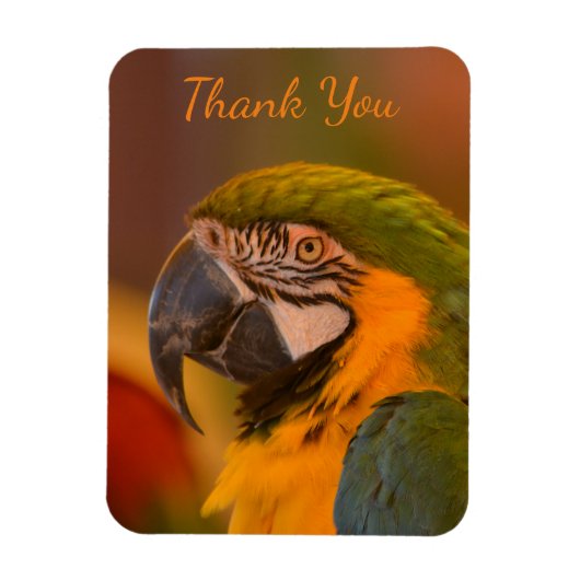 Macaw Parrot Dank u Magneet (Verticaal)