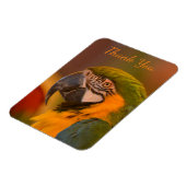 Macaw Parrot Dank u Magneet (Linkerzijde)