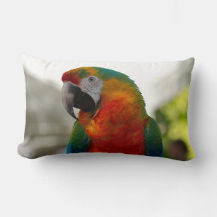 Macaw Parrot Decoratief Sierkussen Kussen