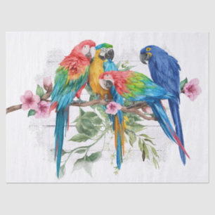 Macaw Parrot Eucalyptus Waterverf tissue paper Tissuepapier