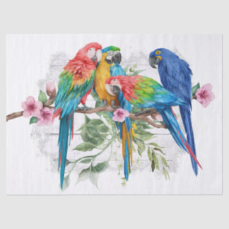 Macaw Parrot Eucalyptus Waterverf tissue paper Tissuepapier