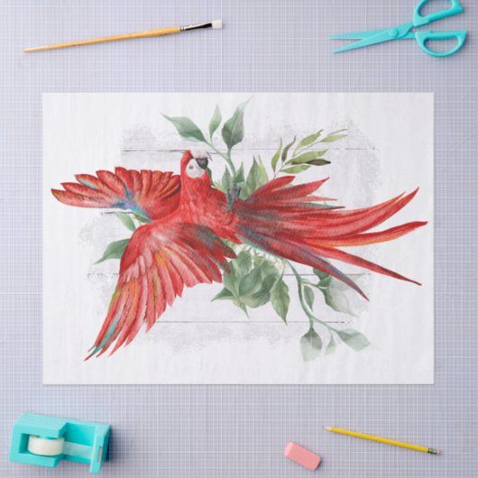 Macaw Parrot Eucalyptus Waterverf Tissuepapier (Craft)