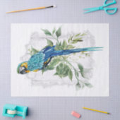 Macaw Parrot Eucalyptus Waterverf Tissuepapier (Craft)