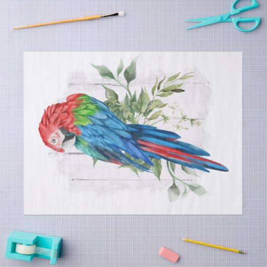 Macaw Parrot Eucalyptus Waterverf Tissuepapier (Craft)