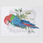 Macaw Parrot Eucalyptus Waterverf Tissuepapier (Voorkant)