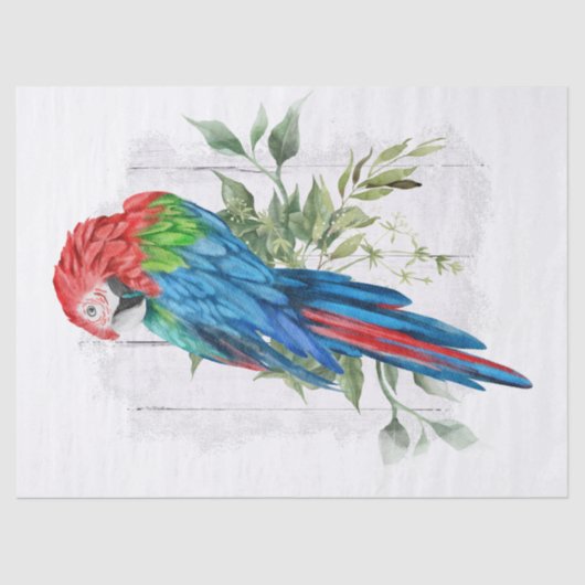 Macaw Parrot Eucalyptus Waterverf Tissuepapier (Voorkant)