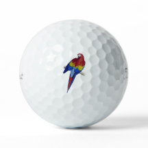 macaw parrot  golfbal