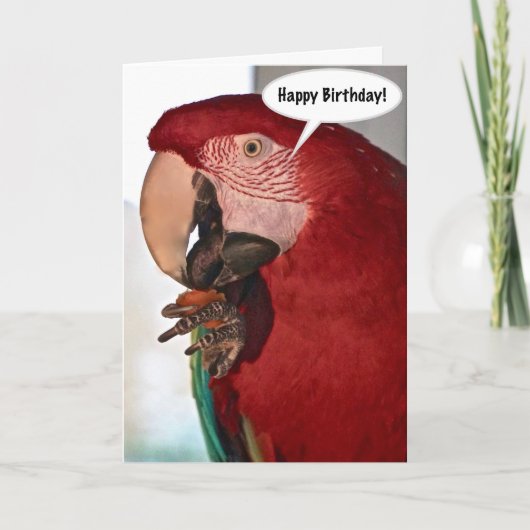 Macaw Parrot Happy Birthday Kaart (Voorkant)
