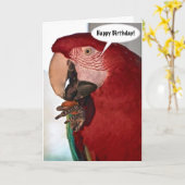 Macaw Parrot Happy Birthday Kaart (Gele Bloem)