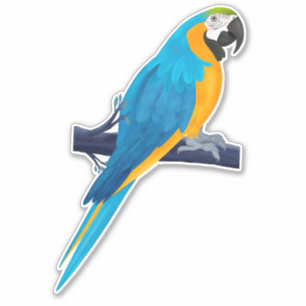 Macaw Parrot in Blue en Gold Sticker