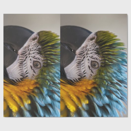 Macaw Parrot inpakpapier (Vlak)