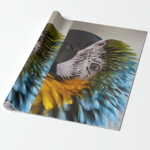 Macaw Parrot inpakpapier
