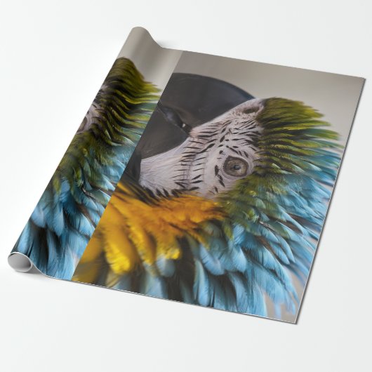 Macaw Parrot inpakpapier (Uitgerold)
