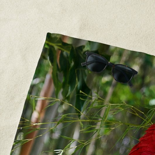 Macaw Parrot Island Strandlaken (In situ)