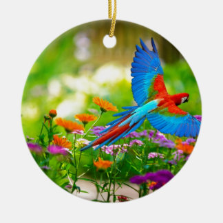 Macaw Parrot Keramisch Ornament
