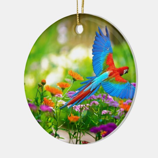 Macaw Parrot Keramisch Ornament (Links)