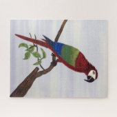 Macaw Parrot Legpuzzel (Horizontaal)