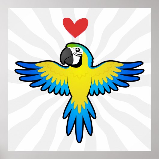 Macaw / Parrot Love Poster (Voorkant)