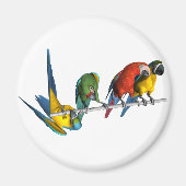 Macaw Parrot Magneet (Voorkant)