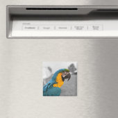 Macaw Parrot Magneet (Insitu (Vaatwasser))
