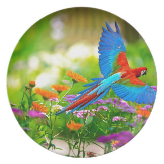 Macaw Parrot Melamine+bord