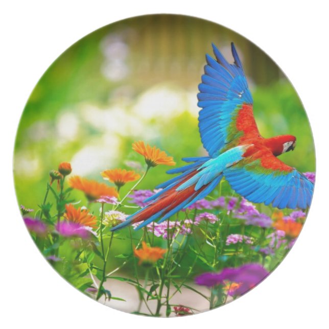 Macaw Parrot Melamine+bord (Voorkant)