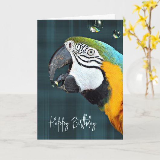 Macaw Parrot met bubels Birthday Kaart (Gele Bloem)