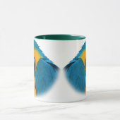 Macaw Parrot, Mok (Midden)