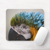 Macaw Parrot - Mousepad Muismat (Met muis)