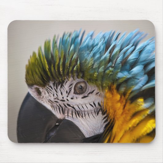 Macaw Parrot - Mousepad Muismat (Voorkant)