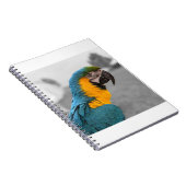 Macaw Parrot Notitieboek (Rechterzijde)