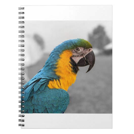 Macaw Parrot Notitieboek (Voorkant)