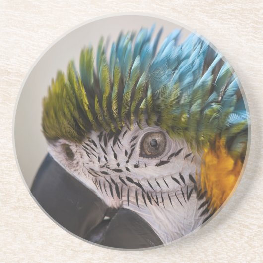 Macaw Parrot - Onderzetter (Voorkant)