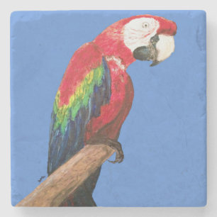 Macaw Parrot Onderzetter. Oorspronkelijke illustra Stenen Onderzetter