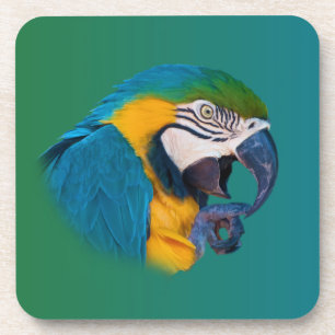 Macaw Parrot,  Onderzetter van kurk