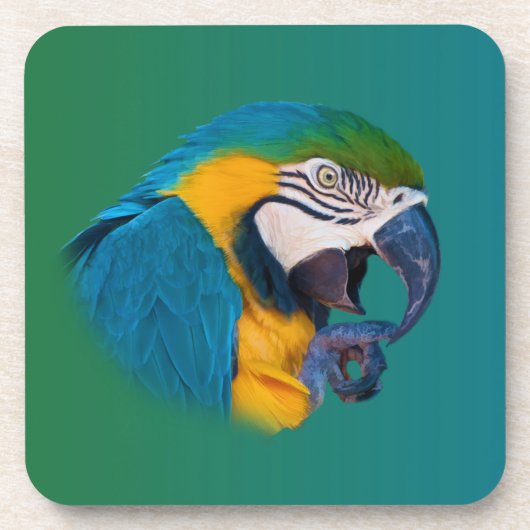 Macaw Parrot,  Onderzetter van kurk (Voorkant)