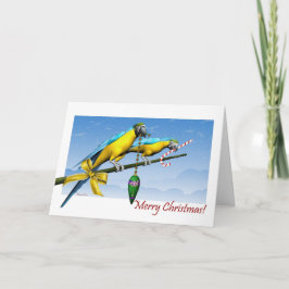 Macaw Parrot Ornament Candy Cane Christmas Kaart