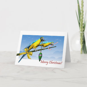 Macaw Parrot Ornament Candy Cane Christmas Kaart