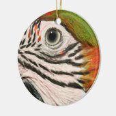 Macaw Parrot Ornament Harlequin Macaw Eye (Links)