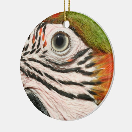 Macaw Parrot Ornament Harlequin Macaw Eye (Links)