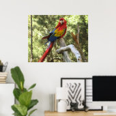 Macaw Parrot Poster (Thuiskantoor)