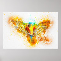 Macaw parrot