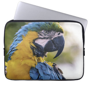 Macaw Parrot Profiel Portret Foto Laptop Sleeve