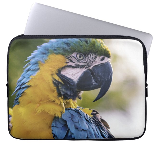 Macaw Parrot Profiel Portret Foto Laptop Sleeve (Voorkant)